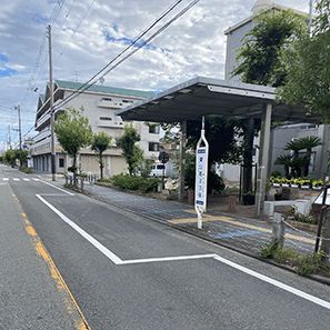 view aroun the bus stop