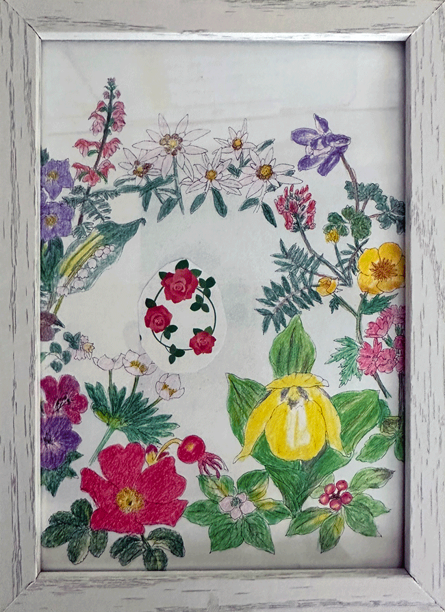 色々な花